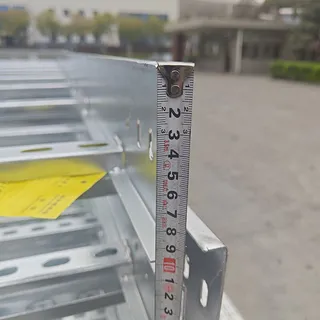 Ladder Cable Tray, Carbon Steel, 600 * 100 * 3000 mm, Custom