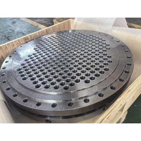 ASME SA182 F304L Tube Sheet, OD 880 mm, THK 70 mm, Customized