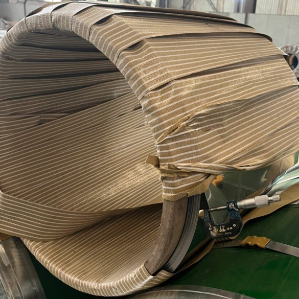 ASTM A240 TP309S Steel Strip