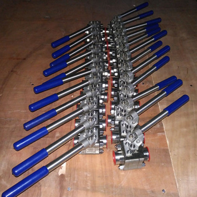 A182 F316 & 316L Spring Loaded Ball Valve, 1IN, CL800, Reduced Bore