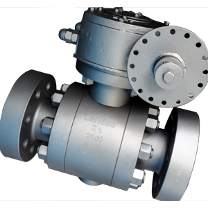 ASTM A105 Ball Valve, 2.5 Inch, 2500#, API 6D, RTJ