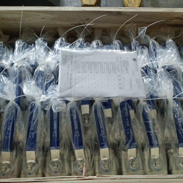 ASTM A182 F316 3-Piece Ball Valve, 2 Inch, 150 LB, BW