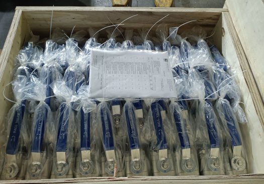 ASTM A182 F316  Ball Valves