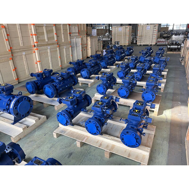 Double Block & Bleed Ball Valves, ASTM A105, 2-4 IN, CL2500