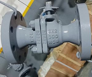 Reduce Port Ball Valve, BS 5358, ASTM A216 WCB, Class 300 LB, RF