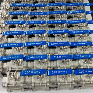SS316L Floating Ball Valve, SS316 Trim, Class 300, 2 Inch, SW