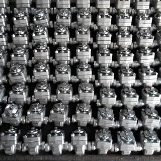 Top Entry Ball Valves, ASTM A182 F316, 1 Inch, CL600 LB, SW
