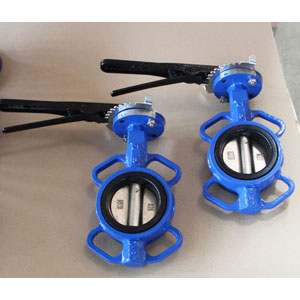 API 609 Wafer Butterfly Valve, DN50, PN16