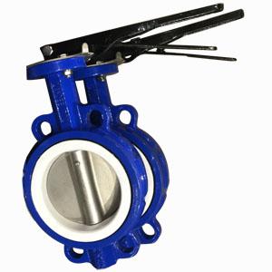 Cast Iron Wafer Butterfly Valve, Disc SS316, 10 Inch, Class 150