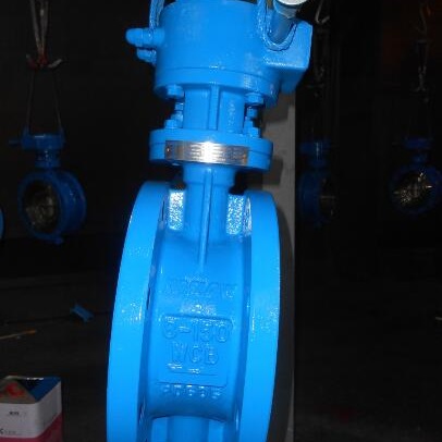 ASTM A216 WCB Butterfly Valve, 80NB, 150 LB, Flange Ends