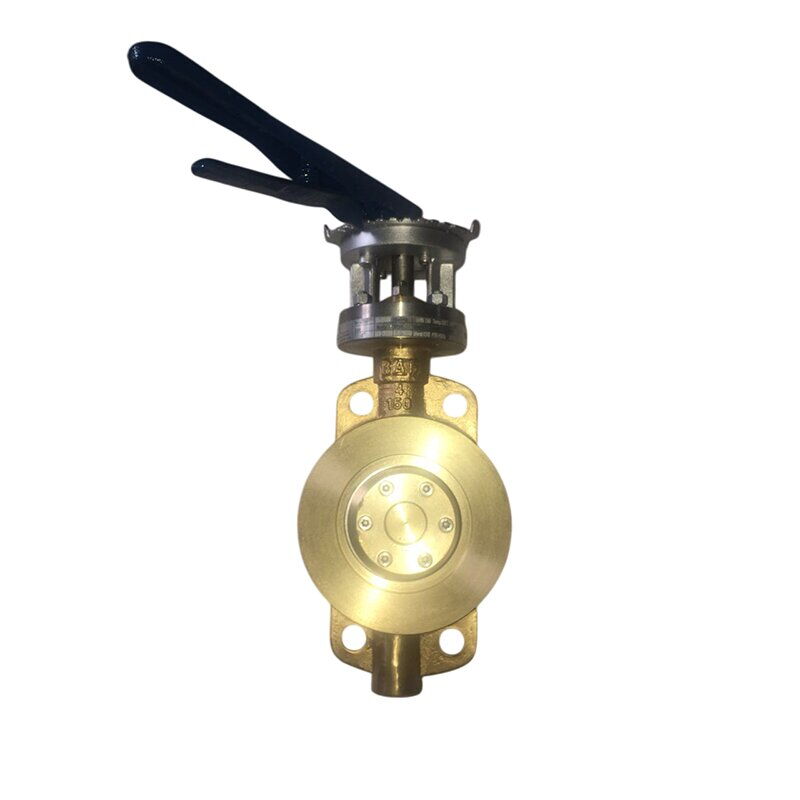 ASTM B148 C95400 Lug Butterfly Valve, 2 Inch, 150 LB, Lever