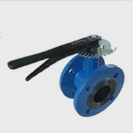 Cast Ductile Iron Butterfly Valve, DN15-DN600, PN10, PN16