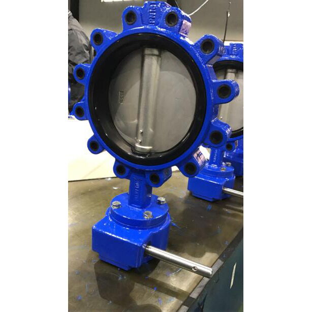 Epoxy Coated Butterfly Valve, API 609 Category B, WCB, 8 IN