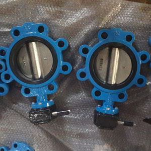 Lugged Butterfly Valve, Ductile Cast Iron, DN150
