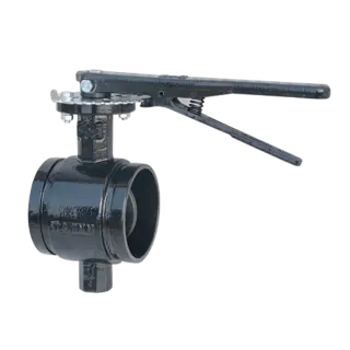 MSS SP-67 Grooved Butterfly Valve, A536 65-45-12, 2-12 Inch