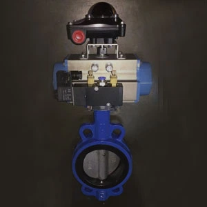 GGG40 Wafer Butterfly Valve, PN16, DN100, EPDM Seat