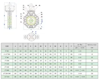 CPVC Butterfly Valve