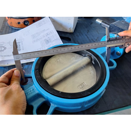 Wafer Butterfly Valve, A216 WCB, 6 Inch, 150 LB, API 609, RF