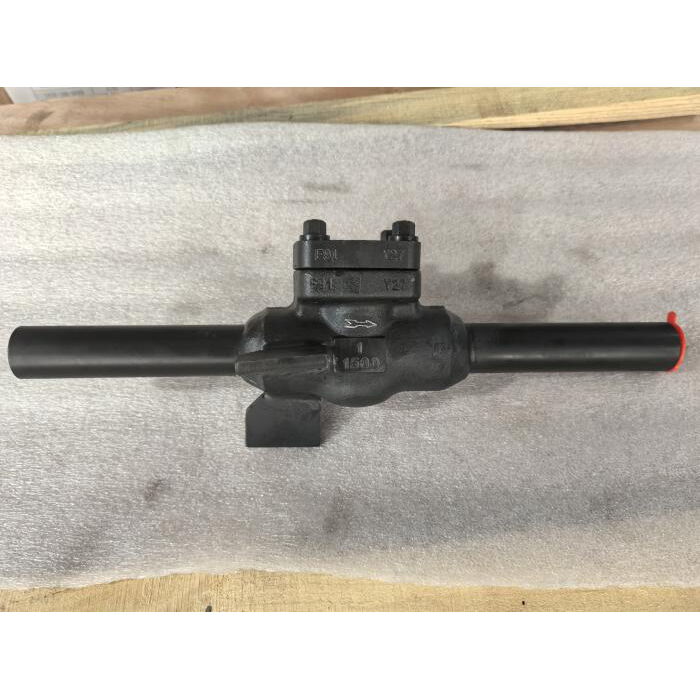 ASTM A182 F91 Check Valve, 3/4 IN, 1500 LB, Long Nipple Ends