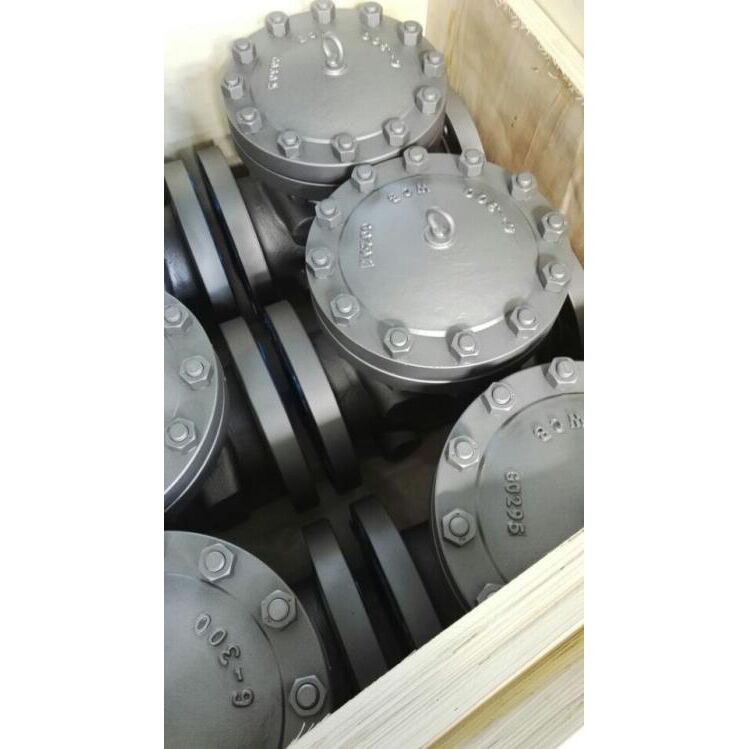 ASTM A216 WCB Check Valves, API 6D, 6 Inch, 300 LB, Flanged