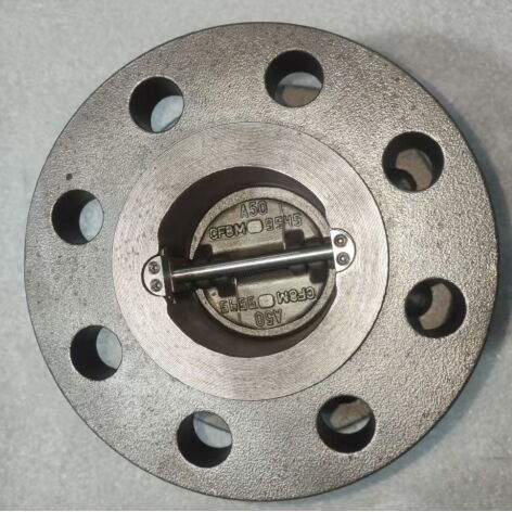 ASTM A216 WCB Dual Plate Check Valve, Thru Drilled, Double Flanged