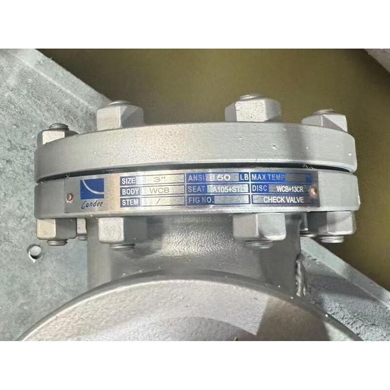 API 6D Swing Check Valves, ASTM A216 WCB, 3 Inch, CL150 LB