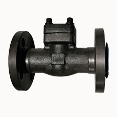 ASTM A350 LF2 Check Valve, 1 Inch, Class 800 LB, RF