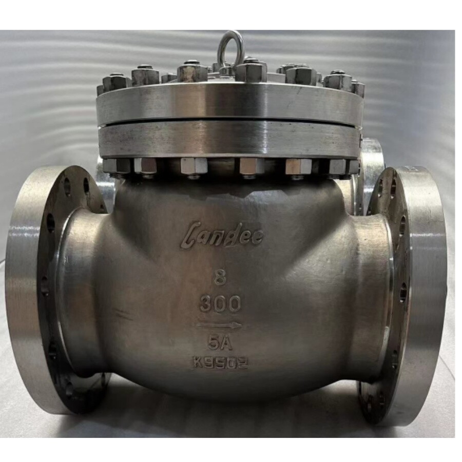 ASTM A995 5A Swing Check Valve, 8 Inch, 300 LB, SS 2507