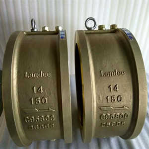 ASTM B 148 C95800 Check Valve, 14IN, CL150, VITON Seat