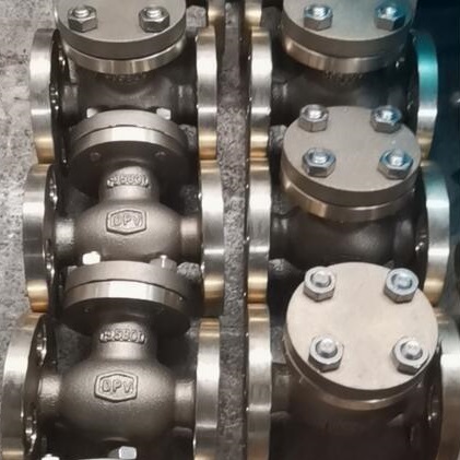 ASTM B62 Bronze Swing Check Valve, RF Flanged, PN20, DN50