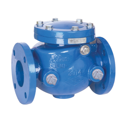 AWWA C508 Swing Check Valve, 300 PSI, Rubber/Metal Seal