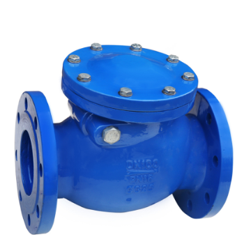 Cast Grey Iron Swing Check Valve, Ductile Iron, DN150, PN16