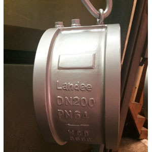 Dual Plate Check Valve, ASTM A216, API 594, 8 Inch, 400#