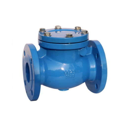GG25 Swing Check Valve, BS, DIN, ANSI, 10 Inch, 150 LB, RF