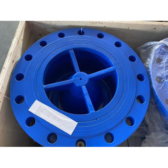 GGG50 Non-Slam Check Valve, Ductile Iron, 12 Inch, CL125 LB