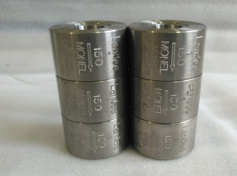Monel Wafer Check Valves