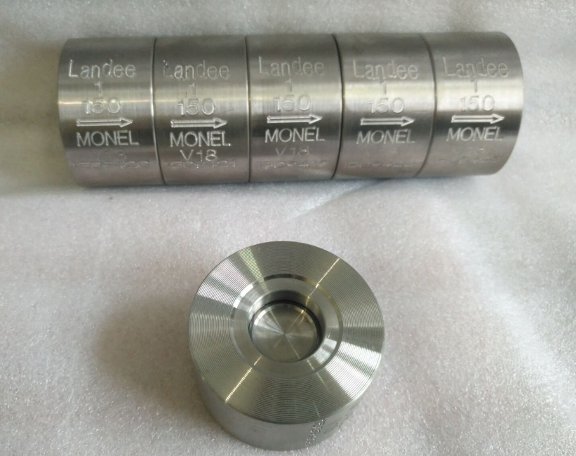 Wafer Check Valve