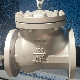 API 6D Swing Check Valves, ASTM A216 WCB, 6 Inch, CL150, RF