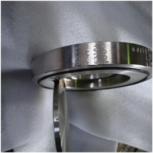 Single Plate Wafer Check Valve, PN16, DN100, ASTM A182