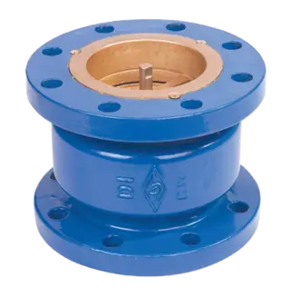 Silent Check Valve, MSS SP-126, ASTM A536 65-45-12, 300 PSI