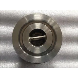 API 6D Wafer Check Valve, A216 WCB, 2 IN, CL900, Double Disc