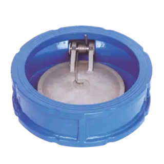 Single Door Wafer Check Valve, ASTM A536 65-45-12, 2-12 IN
