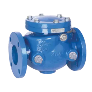 AWWA C508 Swing Check Valve, 300 PSI, Rubber/Metal Seal