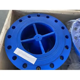 GGG50 Non-Slam Check Valve, Ductile Iron, 12 Inch, CL125 LB