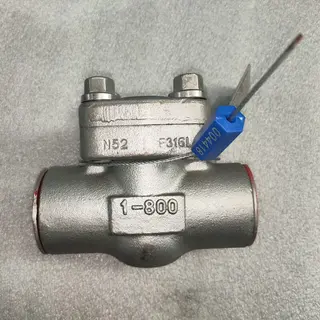 Stainless Steel Check Valve, A182 F316L + STL, 1 Inch, CL800