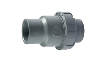 NPT Threaded CPVC Check Valve, DIN, ANSI, JIS, 1/2-3 Inch