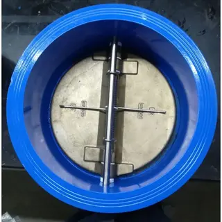 JIS Dual Plate Check Valve, Ductile Iron, DN300, 12 IN, 10K