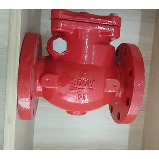 FBE Coated Swing Check Valve, Ductile Iron, 4 Inch, 300 PSI