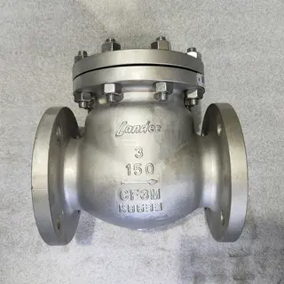 ASTM A351 CF3M Swing Check Valves, 3 Inch, CL150 LB, Flanged