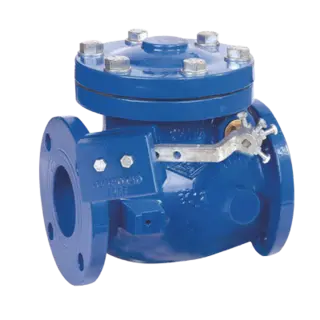 Swing Check Valve with Weight & Lever, 300 PSI, FBE Coated